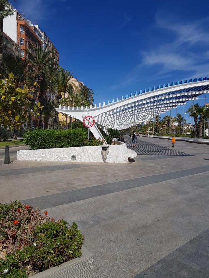 Apartamento Berry Playa Naufragos Torrevieja Dış mekan fotoğraf